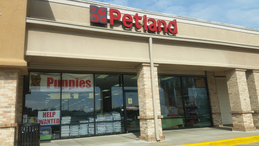 Dog Breeder «Petland Dunwoody», reviews and photos, 4733 Ashford Dunwoody Rd NE, Dunwoody, GA 30338, USA