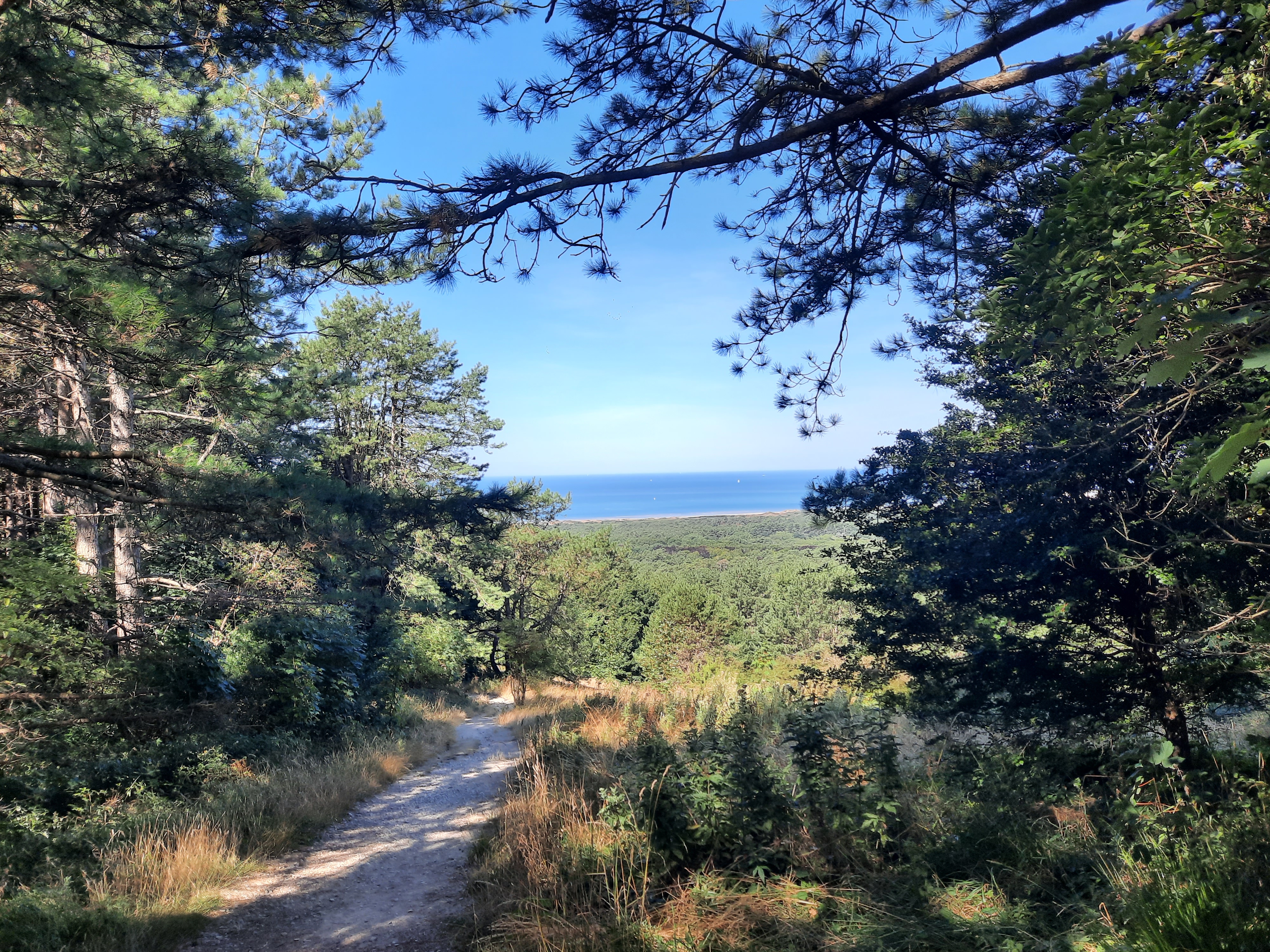 Photo n° 4 de l'avis de Stéphanie.u fait le 10/08/2022 à 12:02