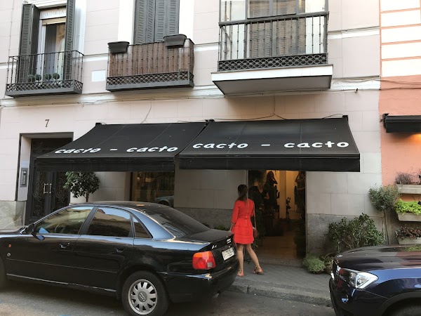 Cacto - Cacto