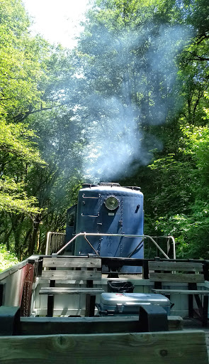 Train Station «Chelatchie Prairie», reviews and photos, 207 N Railroad Ave, Yacolt, WA 98675, USA