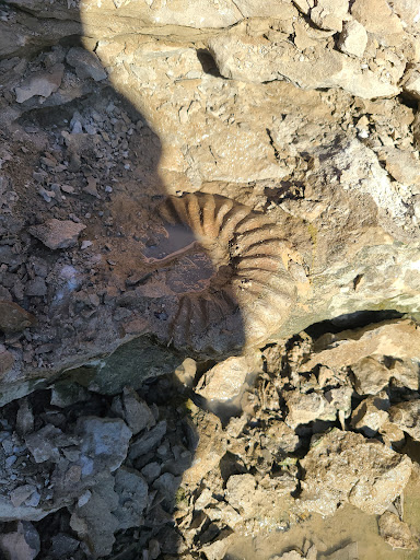 Park «Haltom Rd Park», reviews and photos, 3113 Haltom Rd, Haltom City, TX 76117, USA