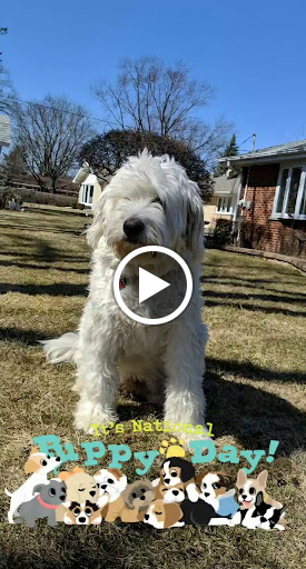 Park «Columbus Park», reviews and photos, 67 Mulberry St, New York, NY 10013, USA