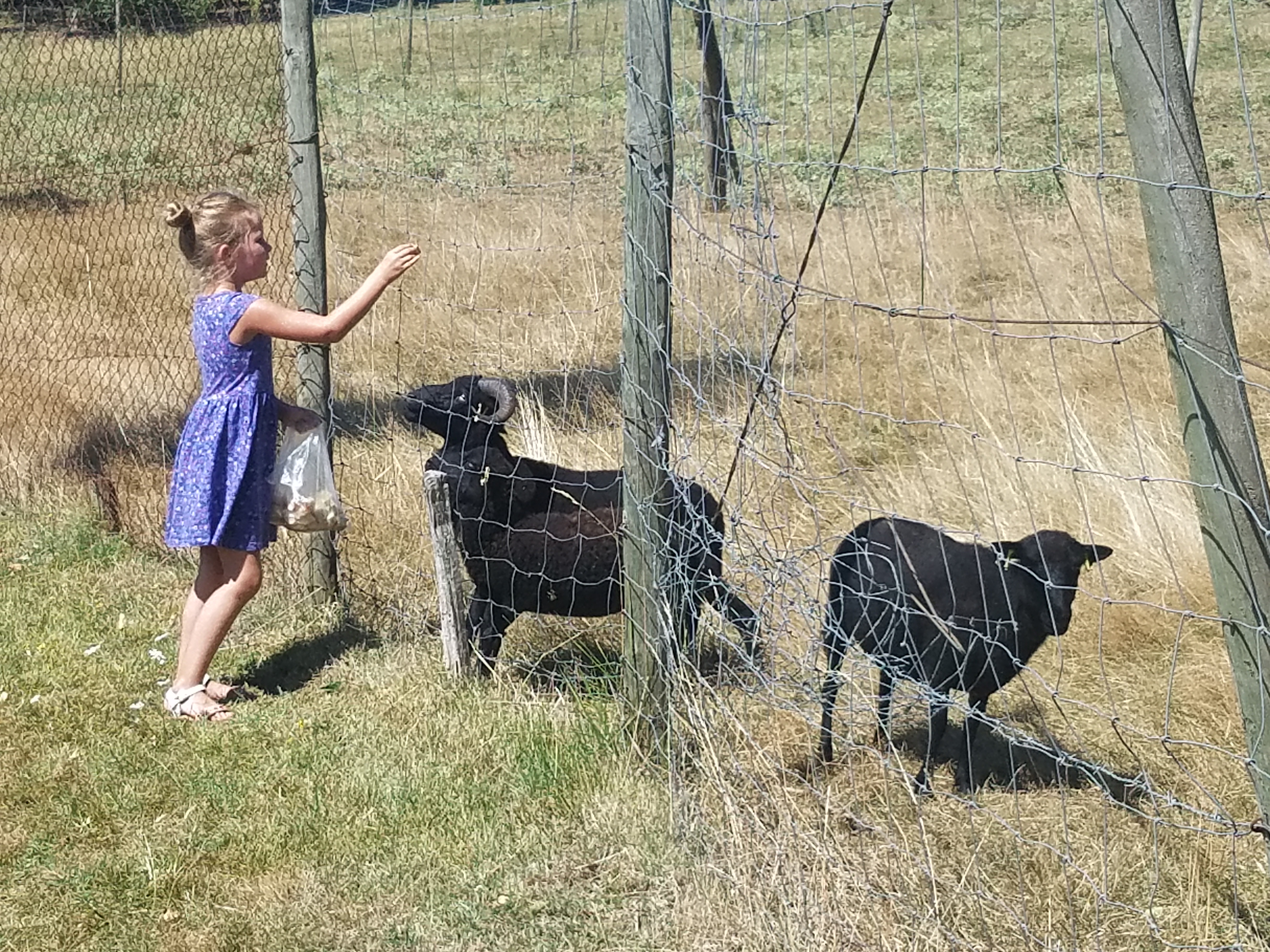 Photo n° 4 de l'avis de Jenny.o fait le 03/08/2018 à 15:13