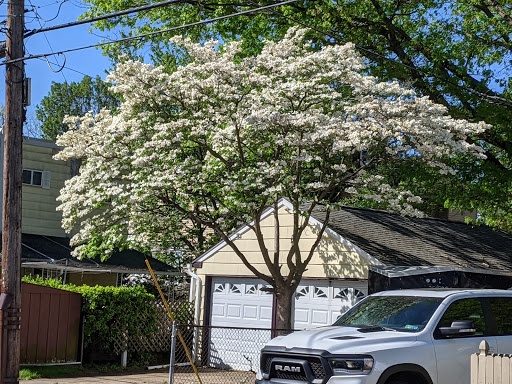 Shopping Mall «Bond Shopping Center», reviews and photos, 1891 S State Rd, Upper Darby, PA 19082, USA