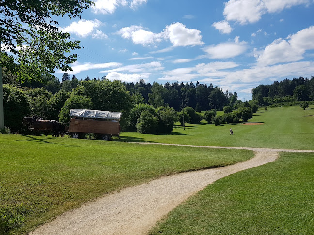 Rezensionen über Golfclub Gerhelm - Nürnberger Land e.V. in Freienbach - Sportstätte