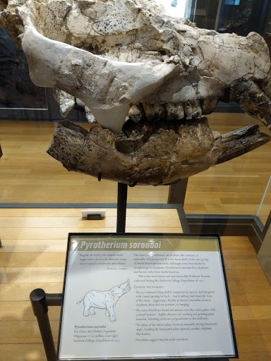 Museum «Beneski Museum of Natural History», reviews and photos, 11 Barrett Hill Rd, Amherst, MA 01002, USA