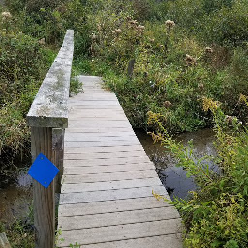 Nature Preserve «Bow in the Clouds Preserve», reviews and photos, 1805 Nazareth Rd, Kalamazoo, MI 49048, USA