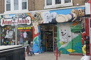 Ac'cent On ANIMALS - 804 South Street image
