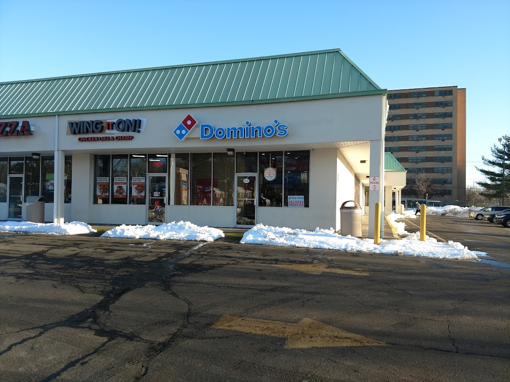 Domino's Pizza 07036