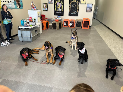 Hund + Soul Dog Training