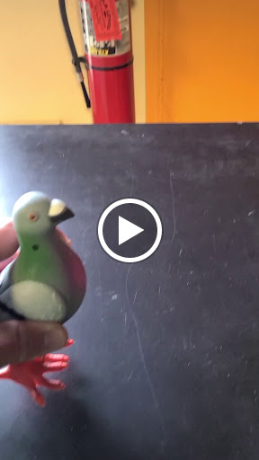 Music Store «Bull Moose», reviews and photos, 419 S Broadway, Salem, NH 03079, USA