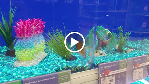 Pet Supply Store «PetSmart», reviews and photos, 595 E Hospitality Ln, San Bernardino, CA 92408, USA