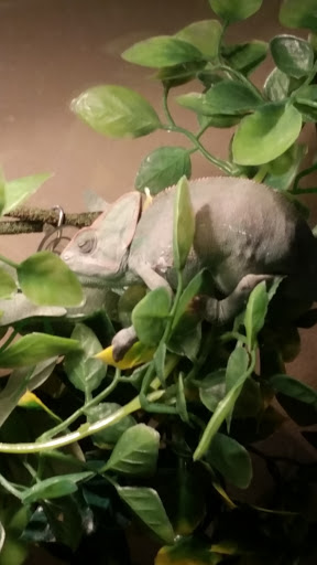 Nature Preserve «Loxahatchee Slough Natural Area», reviews and photos, 9060 W Indiantown Rd, Jupiter, FL 33478, USA