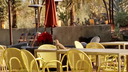 Botanical Garden «Desert Botanical Garden», reviews and photos, 1201 N Galvin Pkwy, Phoenix, AZ 85008, USA