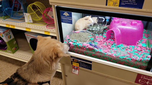 Pet Supply Store «PetSmart», reviews and photos, 6046 Marsha Sharp Fwy, Lubbock, TX 79407, USA