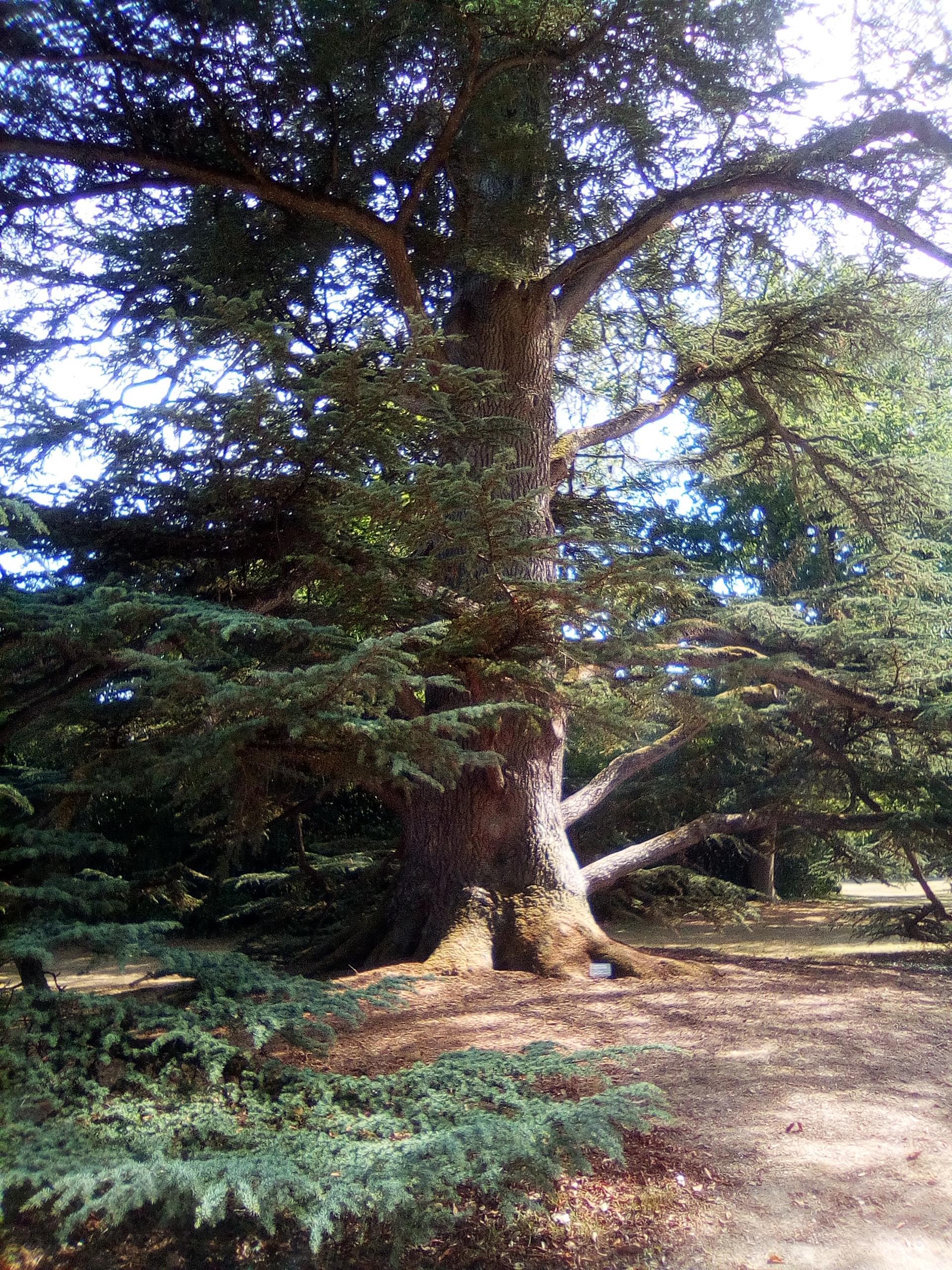 Photo n° 2 de l'avis de Danièle.c fait le 24/08/2019 à 20:20