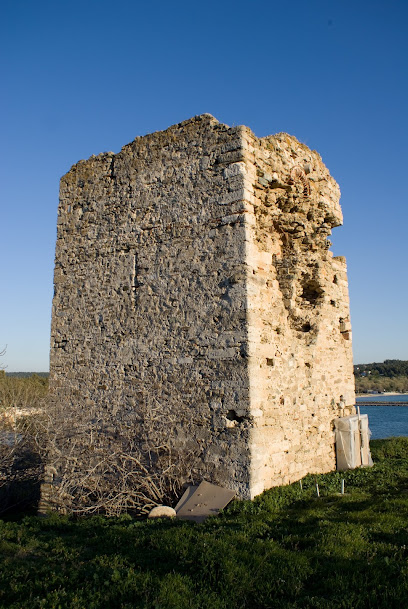 Πύργος Σταυρονικήτα
