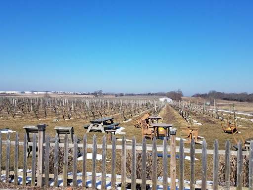 Winery «Palmer Vineyards», reviews and photos, 5120 Sound Ave, Riverhead, NY 11901, USA