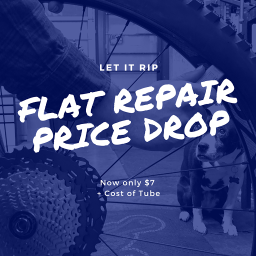 Bicycle Store «Bingham Cyclery», reviews and photos, 1895 Washington Blvd, Ogden, UT 84401, USA