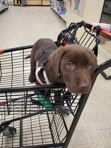Pet Supply Store «PetSmart», reviews and photos, 9970 Sowder Village Square, Manassas, VA 20109, USA