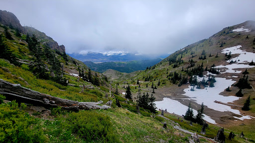 National Reserve «Mount St. Helens National Volcanic Monument», reviews and photos, 3029 Spirit Lake Hwy, Castle Rock, WA 98611, USA