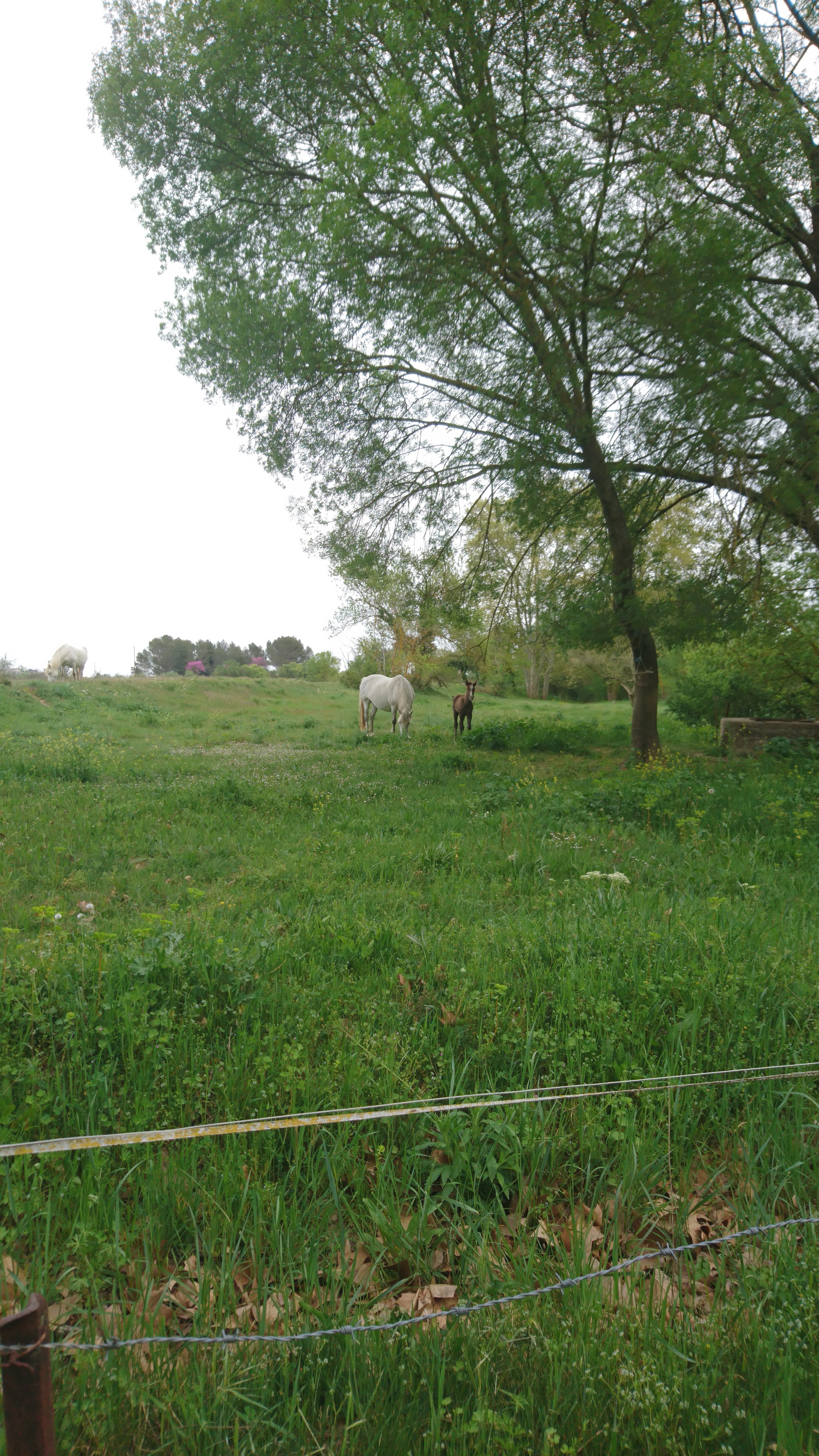 Photo n° 5 de l'avis de Philippe.l fait le 18/04/2019 à 16:30