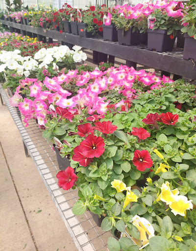 Supermarket «Al Couch Super Market», reviews and photos, 2115 Hamilton Eaton Rd, Hamilton, OH 45011, USA