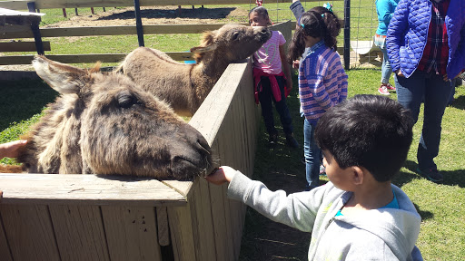 Wedding Venue «Rancho Alegre Farm», reviews and photos, 2225 Givens Rd, Dacula, GA 30019, USA