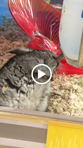 Pet Supply Store «Petco Animal Supplies», reviews and photos, 225 Maple Ave E, Vienna, VA 22180, USA