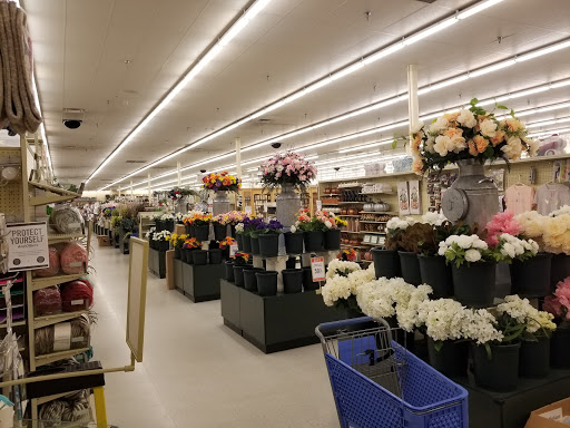 Craft Store «Hobby Lobby», reviews and photos, 320 E Brannon Rd, Nicholasville, KY 40356, USA