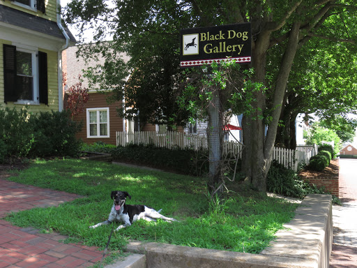 Black Dog Gallery