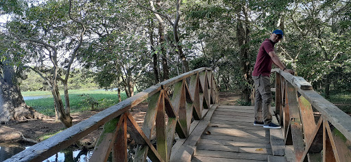 Parque mirador manantiales del cachon de la rubia