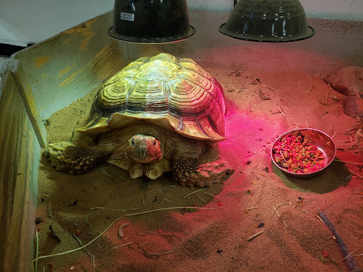 Pet Store «Pet World Warehouse Outlet», reviews and photos, 2148 W Beltline Hwy, Madison, WI 53713, USA