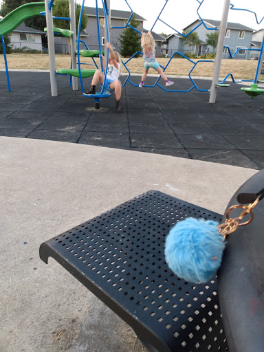 Park «Pacific Park», reviews and photos, 2163 Shadylane Dr, Springfield, OR 97478, USA