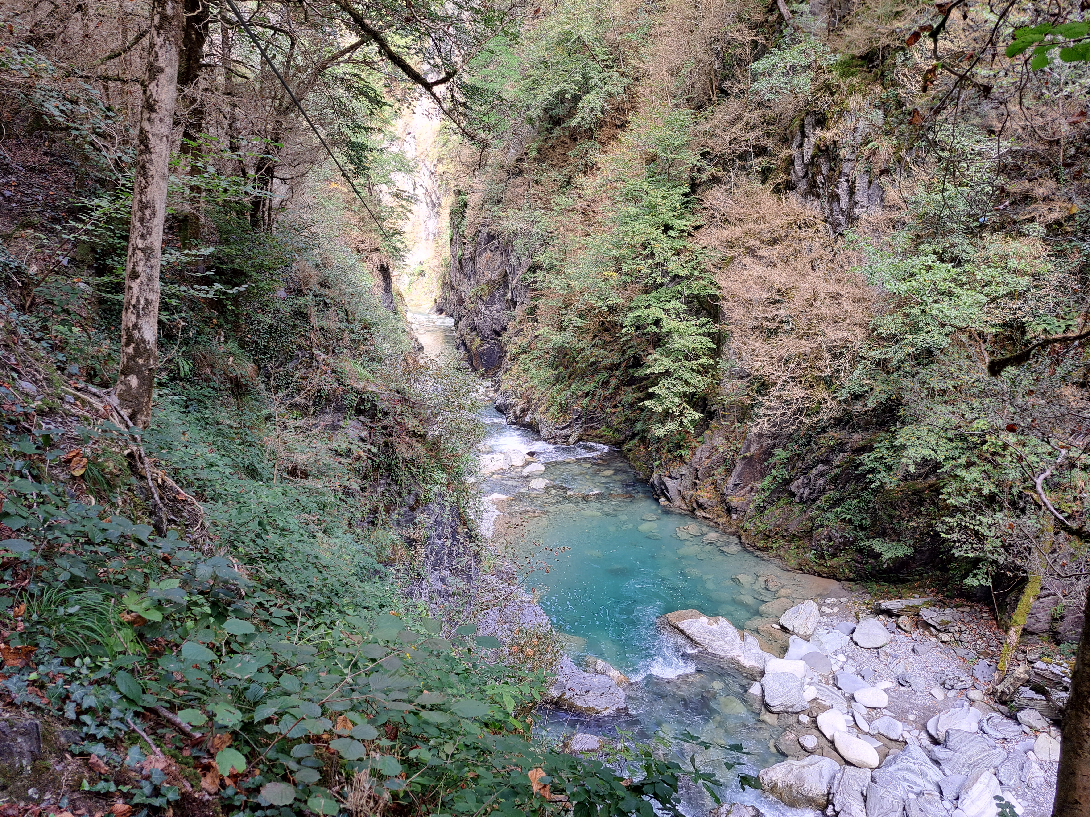 Photo n° 1 de l'avis de lea.a fait le 16/09/2023 à 08:28