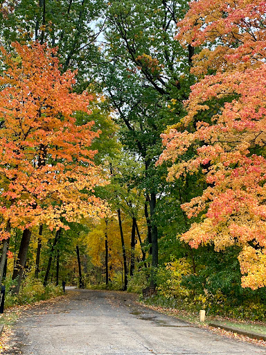 Nature Preserve «Harms Woods», reviews and photos, Harms Rd, Glenview, IL 60025, USA