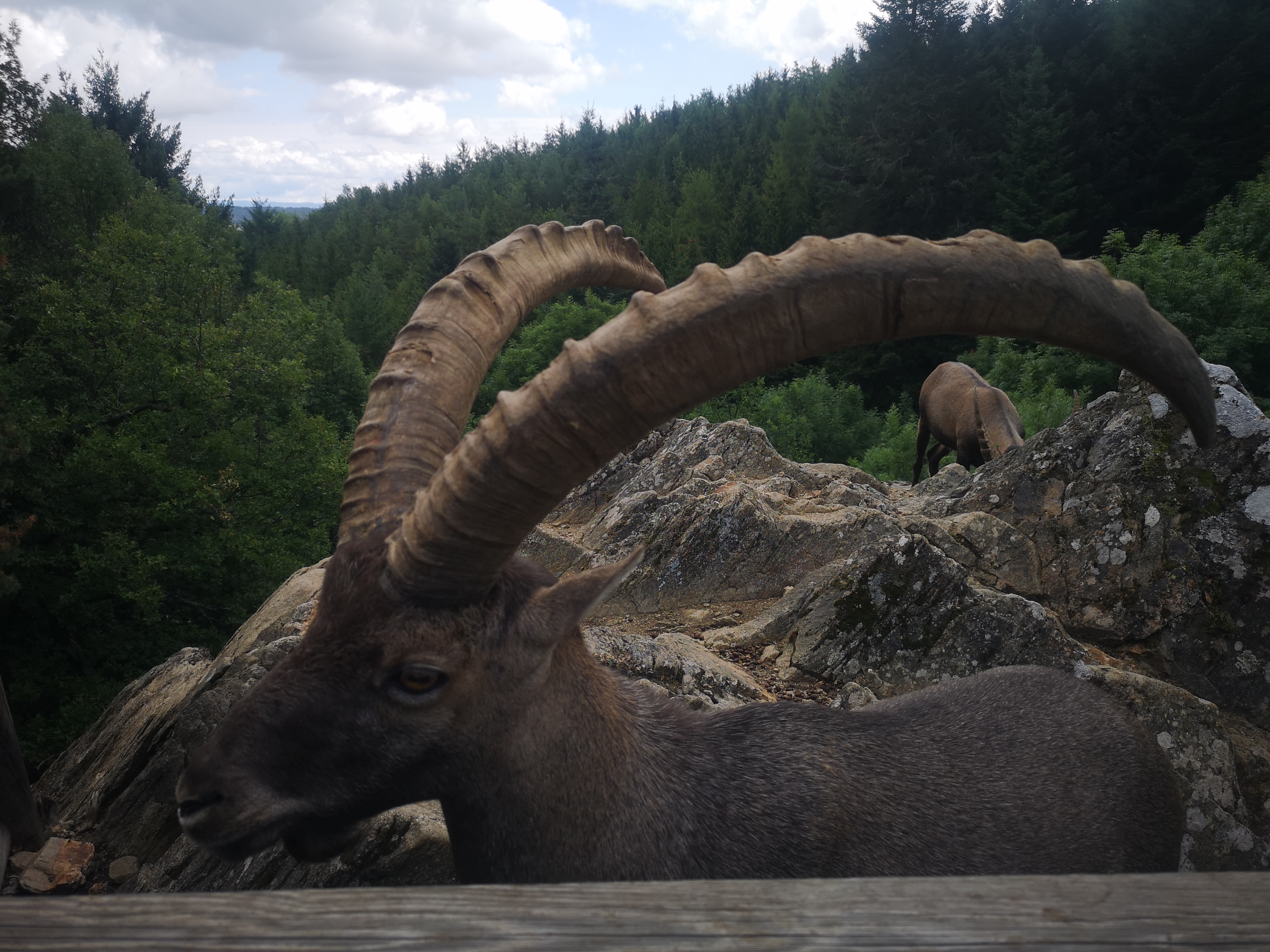 Photo n° 4 de l'avis de Stephanie.a fait le 16/08/2019 à 20:29