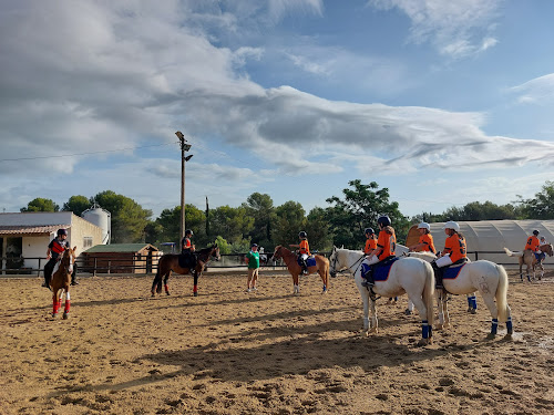 Equitation St Georges D'Orques à Saint-Georges-d'Orques