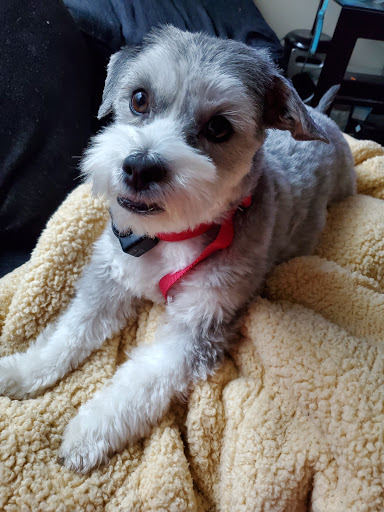 Animal Feed Store «Wilco Farm Store», reviews and photos, 3285 Commercial St SE, Salem, OR 97302, USA