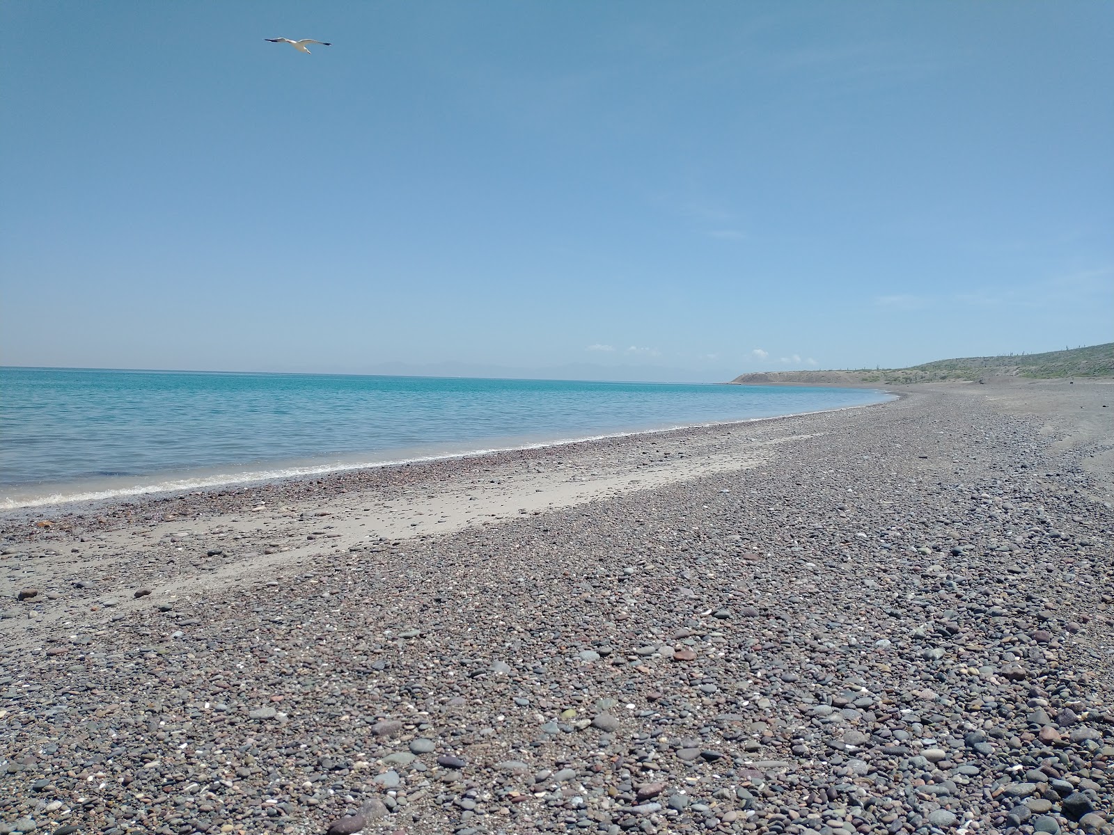 Photo de Playa el Coyote avec un niveau de propreté de très propre