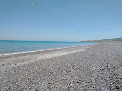 Playa el Coyote'in fotoğrafı çok temiz temizlik seviyesi ile