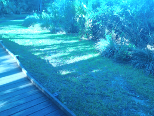 Park «Sabal Pines Park», reviews and photos, 5005 NW 39th Ave, Coconut Creek, FL 33073, USA