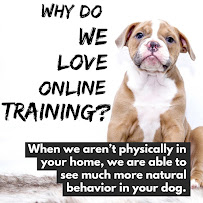 Barkside Behavior and Training