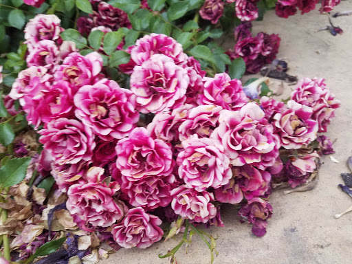 Movie Theater «Megaplex Theatres at Legacy Crossing», reviews and photos, 1075 Legacy Crossing Boulevard, Centerville, UT 84014, USA