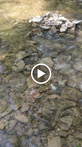 Nature Preserve «Spring Creek Forest Preserve», reviews and photos, 1770 Holford Rd, Garland, TX 75044, USA