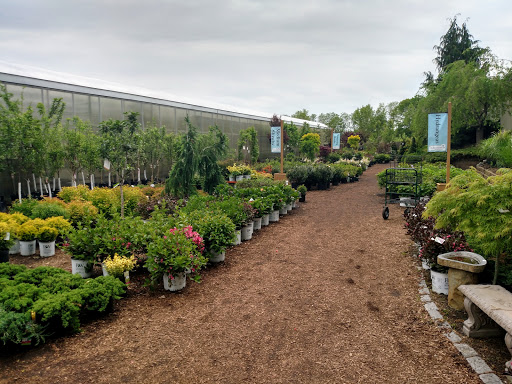 Greenhouse «Wentworth Greenhouses», reviews and photos, 141 Rollins Rd, Rollinsford, NH 03869, USA