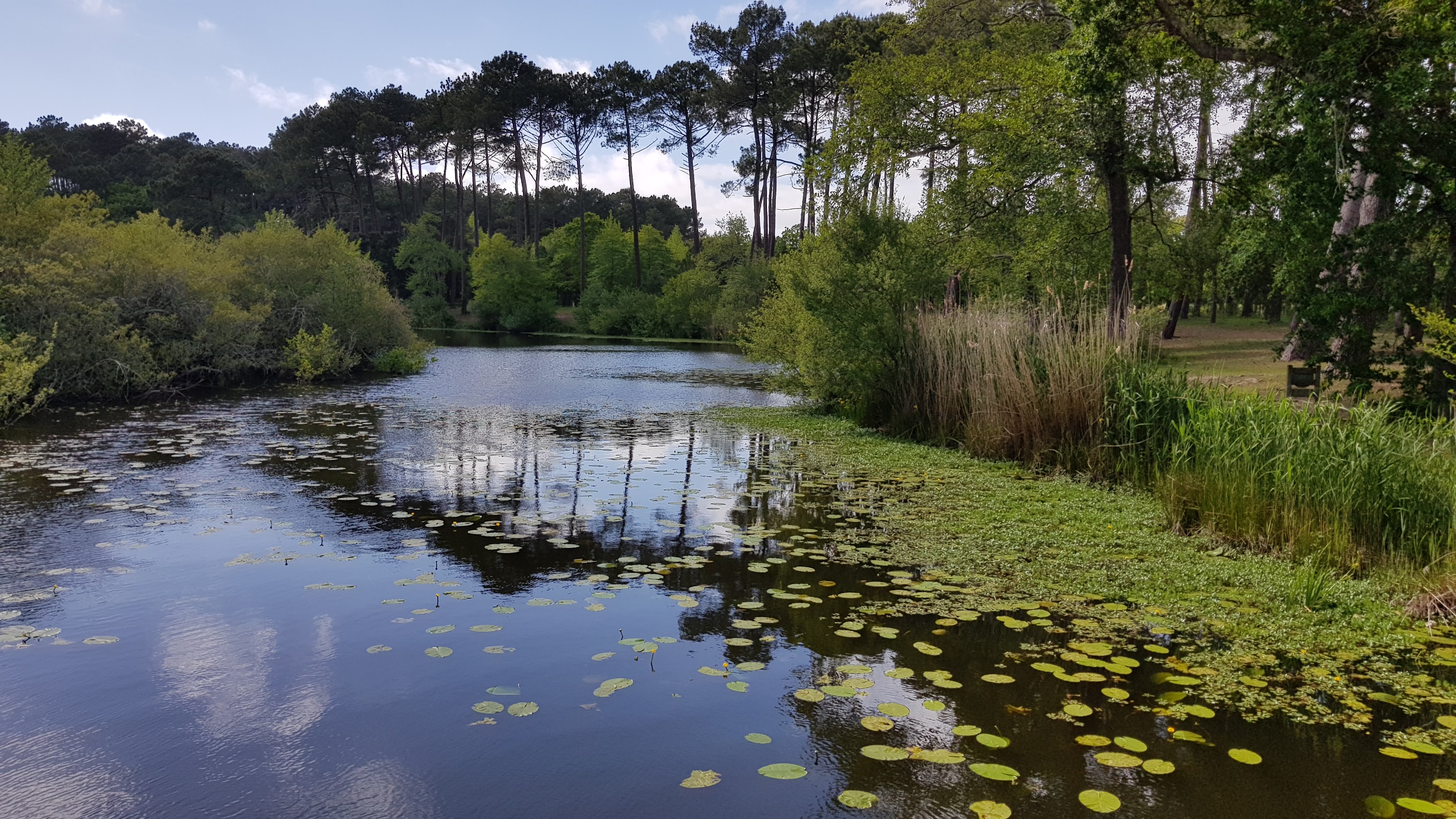 Photo n° 3 de l'avis de Mario.o fait le 11/05/2019 à 17:45