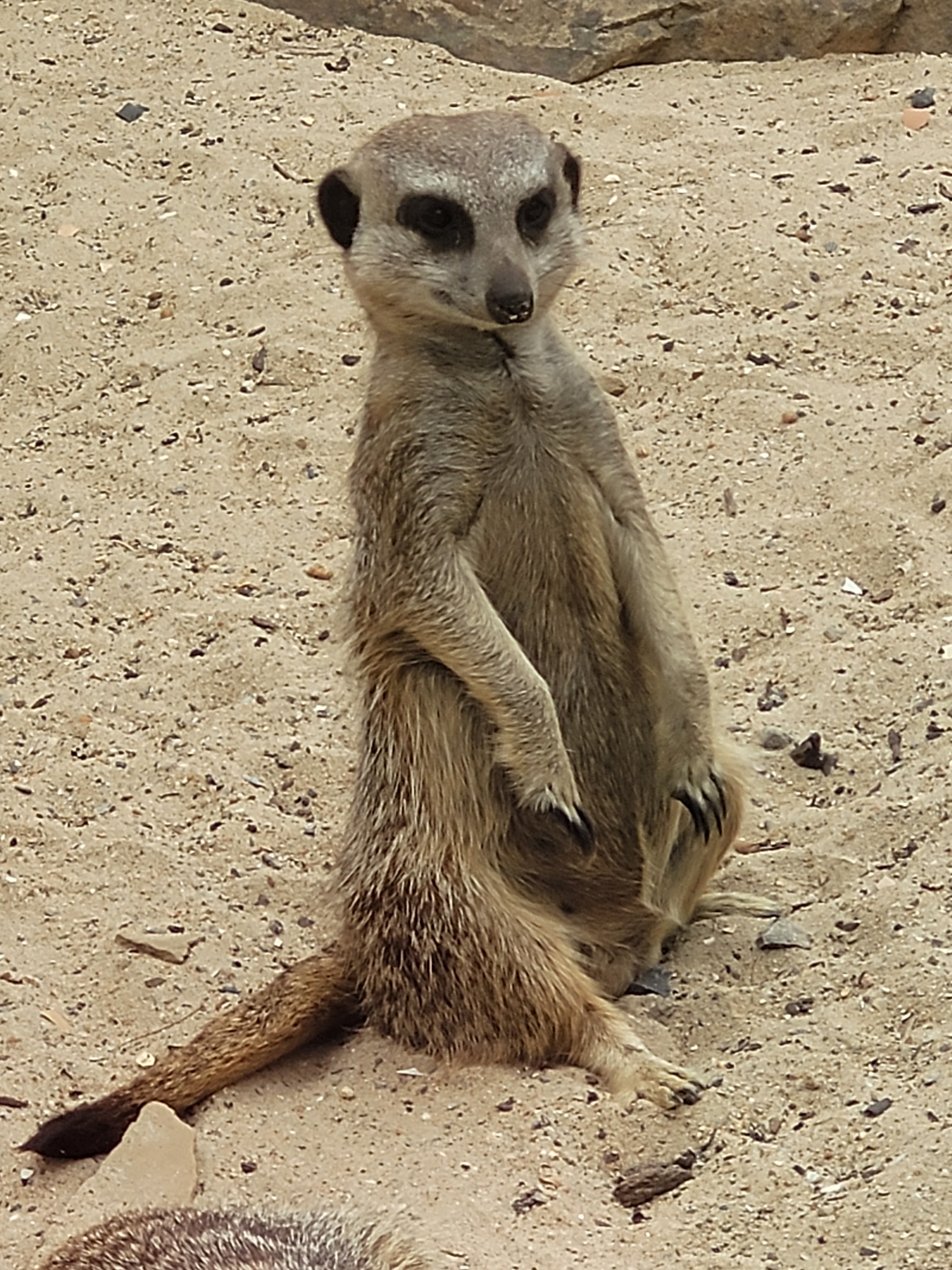 Photo n° 1 de l'avis de Stéphanie.o fait le 31/07/2022 à 16:28