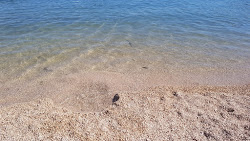 Foto von Rogoznica beach mit sehr sauber Sauberkeitsgrad