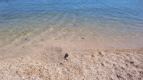 Rogoznica beach